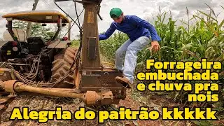Mais um dia de lida na silagem que o paitrão comprou do vizinho (roçavlog)
