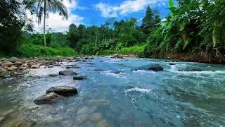 Healing River Flow Under Blue Sky &ndash; Calming Water ASMR for Sleep & Focus