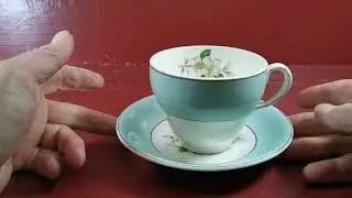 Чайная чашка и блюдце Johnson Brothers China Pareek со вкусом фисташек 