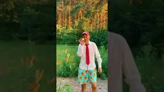 Поэма про биткоин. История настоящей любви к btc #shorts