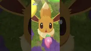 S&rsquo;endormir avec Nymphali | Pok&eacute;mon&nbsp;Sleep