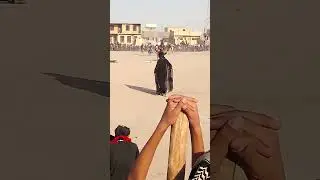 تشابيه واقعه الطف من ناحيه نبي الله عزير