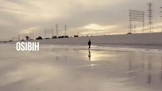 Osibih - No Reason (p. DinoDidTheDash)