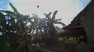 Test Terbang Micro drone Boldcash Bwhoop B03 Acro Mode | micin brushed 65mm fpv camera aio Lst-s2 |