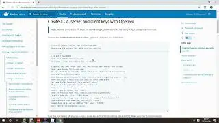 33 Docker CA加密认证整合idea