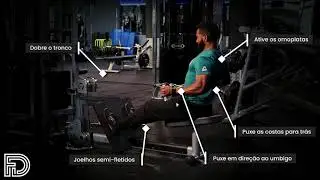 Seated cable row (reverse grip)