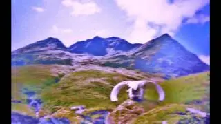 ***the Folk Police***Peatbog Faeries***