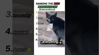 Ranking best Madezelli cat moments bro is hilarious😭 @madezelli on instagram