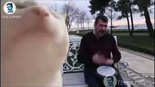 Dil cheez tujhe dedi meme remix (TESLA MEMES)