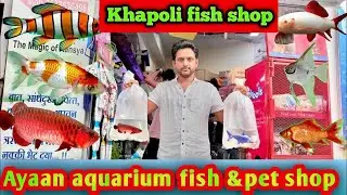 Ayaan aquarium fish & pet shop Khopoli || khapoli aquarium shop #fishshop #petshop 