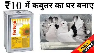 How to Make  Pigeon House  in only 10₹ 😱 | सिर्फ ₹10 में कबूतर का  घर कैसे बनाए बहुत सस्ते में 😱 |