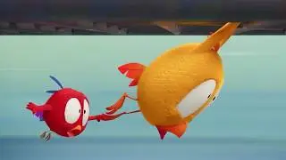 The Shopping Cart | Where's Chicky? | Cartoon Collection in English for Kids | New episodes