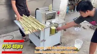 Sugarcane Juice Machine - make in Viet Nam - 4 Roller diamond cut stainless steel motor 2HP
