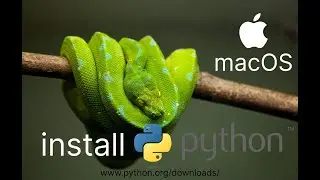 Как установить Python за 10 секунд на Mac OS