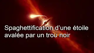 Mort d'une &eacute;toile par spaghettification, aval&eacute;e par un trou noir supermassif