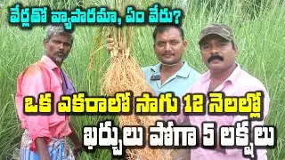 ## **వట్టి వేరు.. తొలి ఏడాది ఎకరానికి ఐదున్నరలక్ష  రాబడి | Vatti Veru | తెలుగు రైతుబడి**