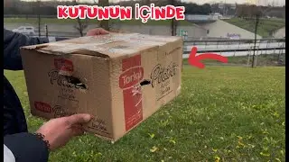 ADIYAMANDAN HEDİYE GÜVERCİN GELDİ ( KUTUNUN İÇİNDE )