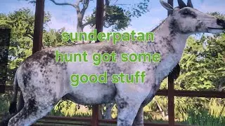 Random hunt on sunderpatan got me my favorite rare for that map
