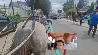 Naik Kuda Berastagi @joelowek 
