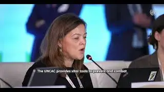 Wildlife Justice Calls for Action Against Corruption Enabling Crimes That Affect the Environment