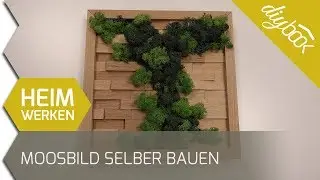 Moosbild selber machen