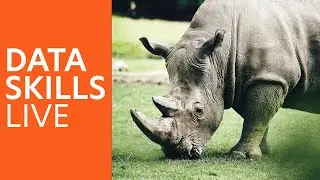 Data Skills Live: Defend The Rhino (Trailer)