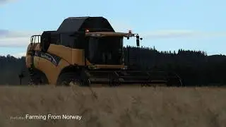 Wheat Harvest In Norway With New Holland XC 780 Combine