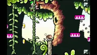 Super Mario World 2 - Yoshi's Island [Part 27] Extra 3: More Monkey Madness (100 Points)