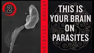 Archon Invasion (PT2) NWO Parasites, Emergency Broadcast System, Zombie Apocalypse