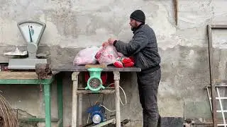 Cea mai buna mancare pentru caini