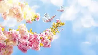 Like a Butterfly - Mandala Dreams - Dreamy, Peaceful (Butterflies)