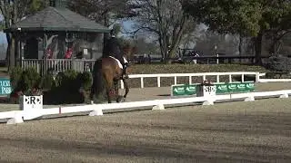 US Dressage Finals Open PSG