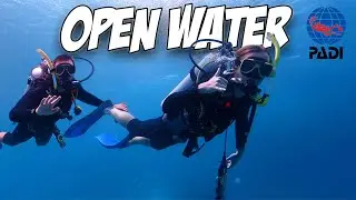 Great Barrier Reef - Liveaboard Dive Boat Course (surprising!)