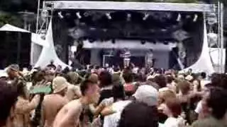 the beach 2007