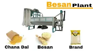 Besan plant