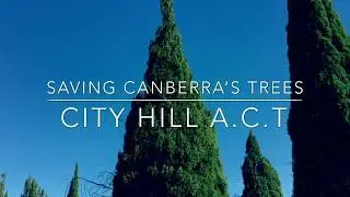 Saving Canberra's Trees - CITY HILL A.C.T