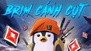 🔥 Brim C&aacute;nh Cụt Live | stack 5 c&ugrave;ng a Dev Nguyen, Sangtraan, Lynx, sh1nobu,...