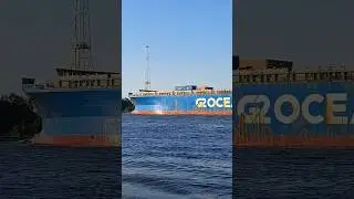 STAR HARMONIA - Weser 😍🌊👍#ship #generalcargoship #cargoship #cargoshipping #cargoships #ship #weser