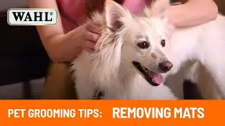 How to remove mats in your Dog's coat with Wahl Canada