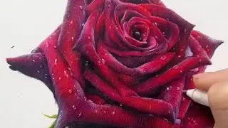 Red Rose Drawing | Symbol of Love ❤️ | Easy Drawing