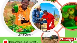 EPS [2]:: TRANSFORM FROM MONOCULTURE TO PERMACULTURE🇿🇦