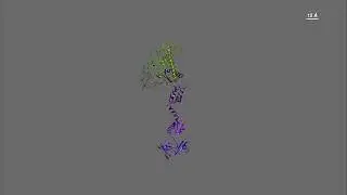 FMR1 Protein