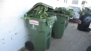Cart Collection