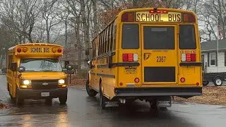 10+ Minutes of Amazing School Bus Spotting