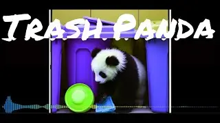 Trash Panda // Neon Panda Synth Wave Dream Pop Panda Pop Hip Hop (Visualizer)