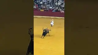 Recortes toros 2024