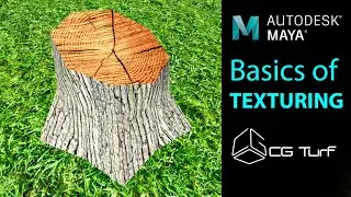 Autodesk Maya Basics of Texturing a Tree Stump