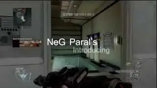 Introducing NeG_Paral!
