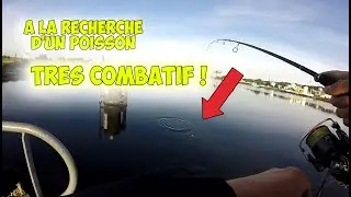 P&ecirc;che du mulet &agrave; la cuill&egrave;re, sensations garanties !