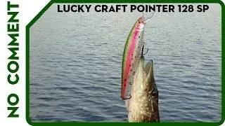 Lucky Craft Pointer 128 SP. Ловля щуки на 130-й воблер.